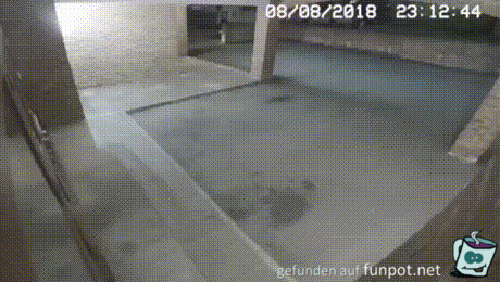 Dumm gelaufen 41 Dumm gelaufen 41