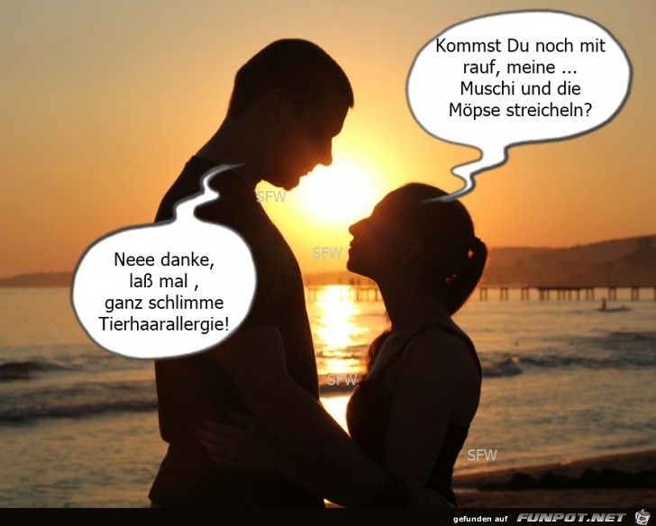 Tierhaarallergie Tierhaarallergie