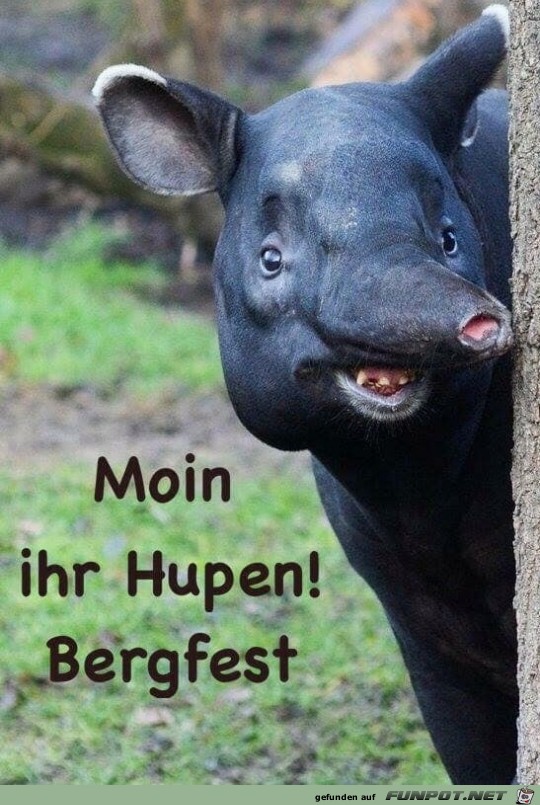 Mittwoch Mittwoch