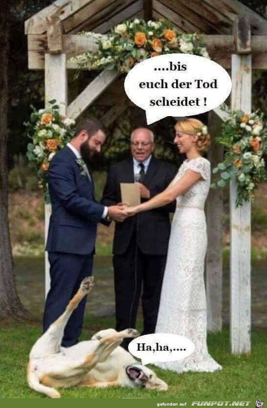 Lustig Lustig