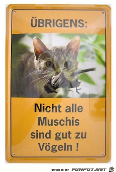 Voegel Voegel