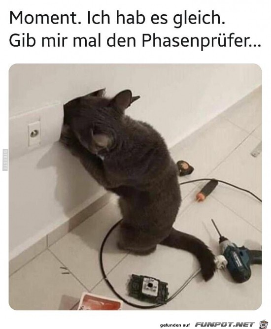 Schwer beschftigt