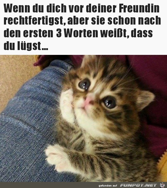 Dieser Blick Dieser Blick