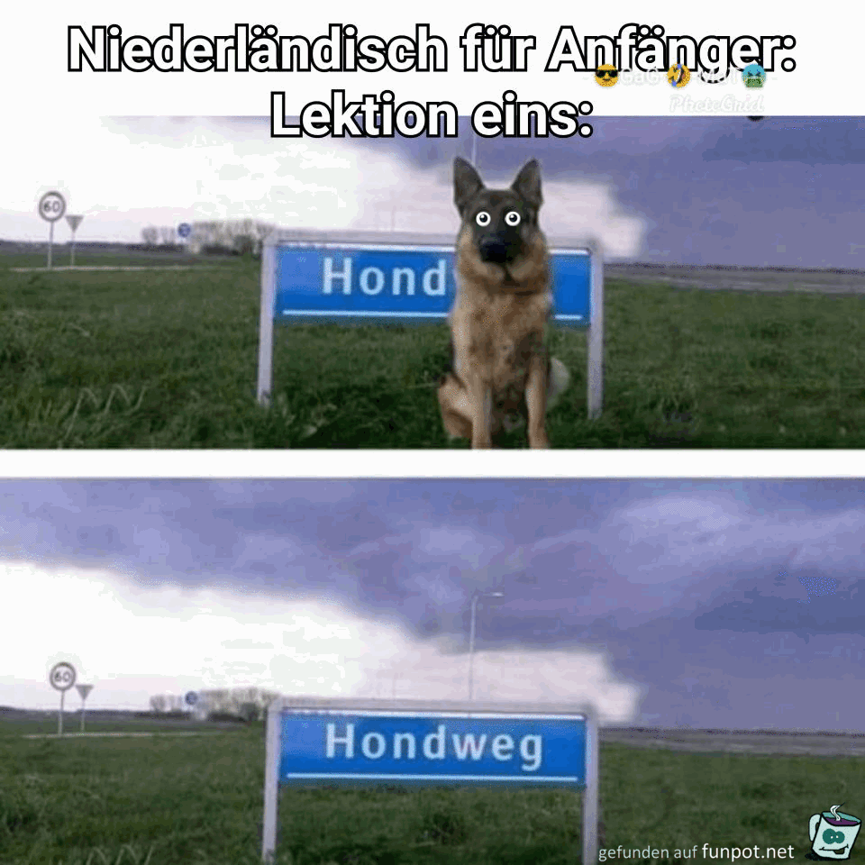 NiederlaendischKurs NiederlaendischKurs