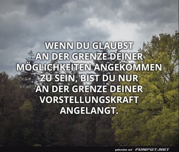 10 sch�ne Spr�che und Lebensweisheiten aus...