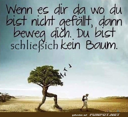10 schöne Sprüche und Lebensweisheiten aus... 10 schöne Sprüche und Lebensweisheiten aus...