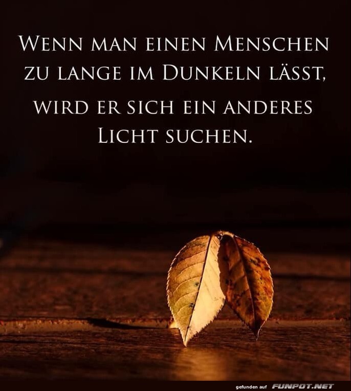 10 sch�ne Spr�che und Lebensweisheiten aus...