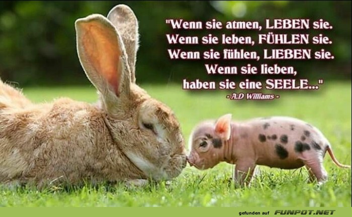 10 schöne Sprüche und Lebensweisheiten aus... 10 schöne Sprüche und Lebensweisheiten aus...