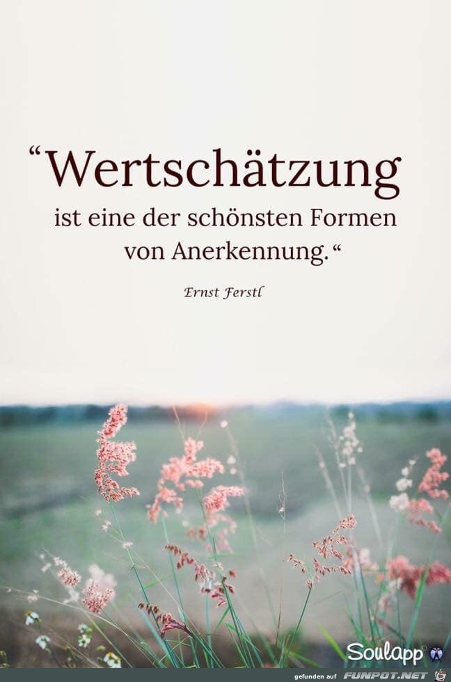 Wertschaetzung Wertschaetzung