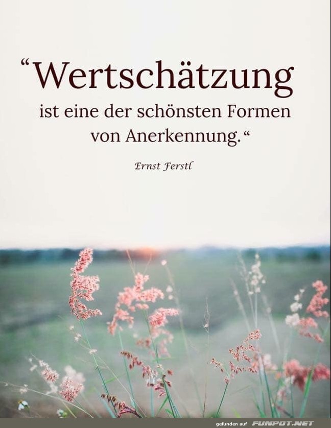 10 sch�ne Spr�che und Lebensweisheiten aus...