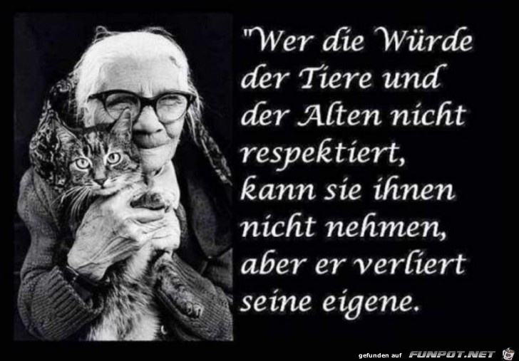 wer die wuerde wer die wuerde