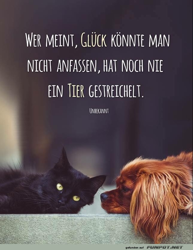 10 sch�ne Spr�che und Lebensweisheiten aus...