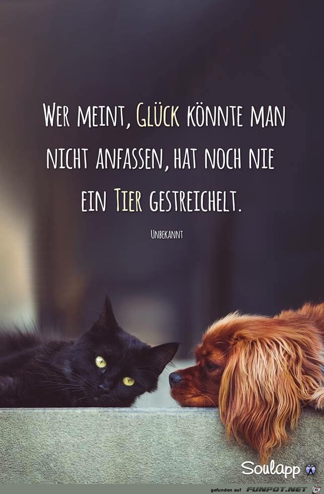 wer meint wer meint