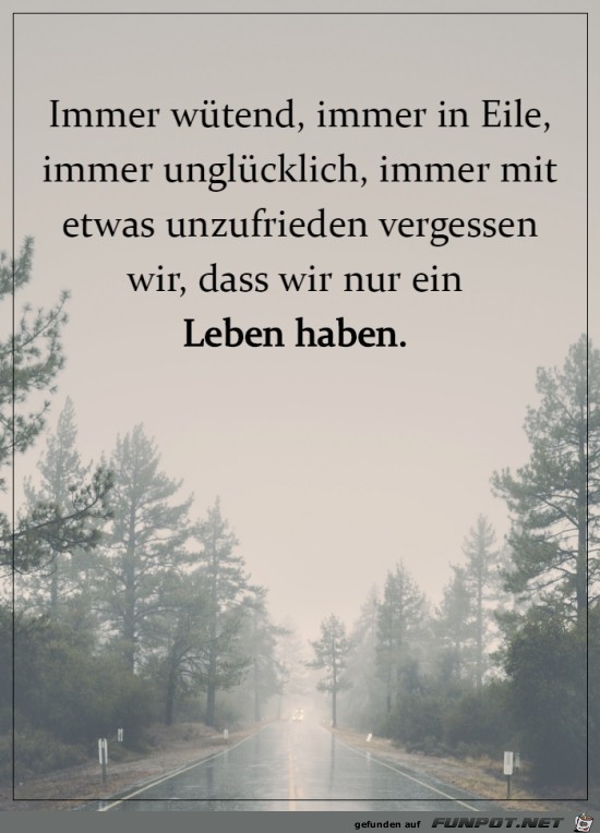 Nur ein Leben