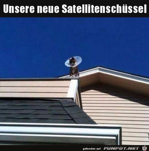 Neue Sat-Schüssel Neue Sat-Schüssel