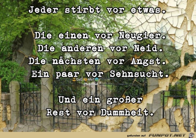 Tot durch Dummheit Tot durch Dummheit