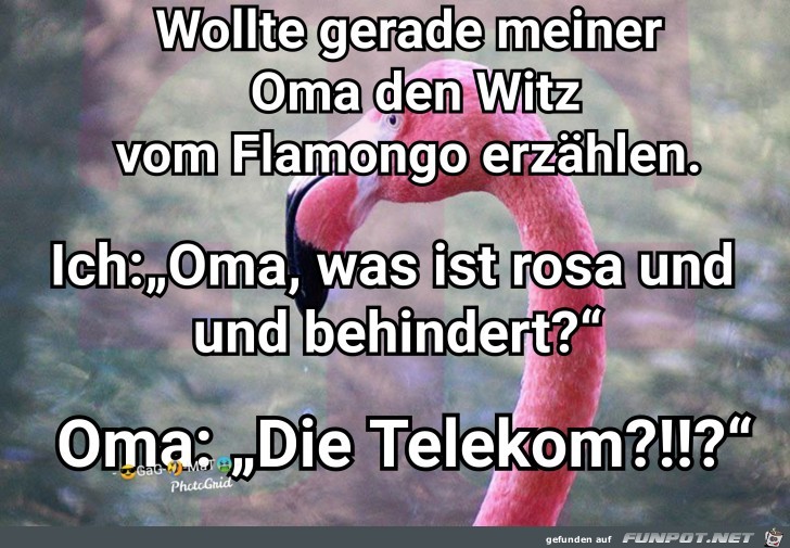 Flamonkom Flamonkom