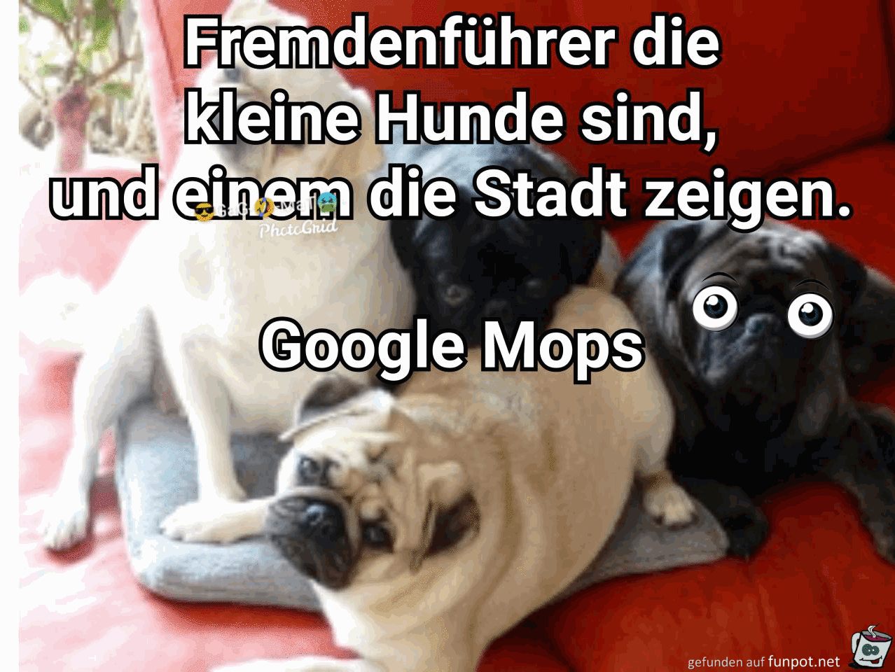 Google Mops