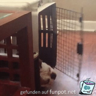 Damit hat er wohl nicht gerechnet Damit hat er wohl nicht gerechnet