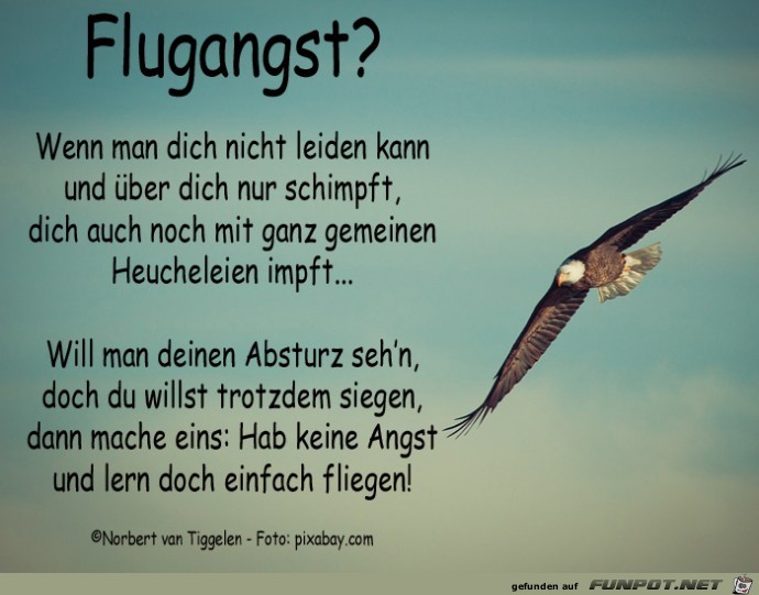 Flugangst 2019