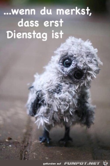 Dienstag