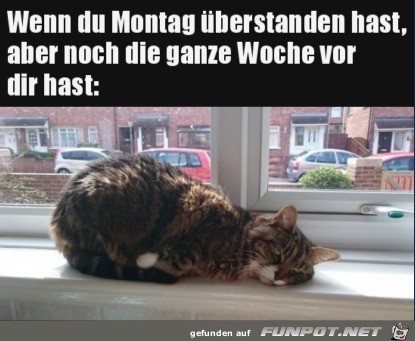 Montag berstanden