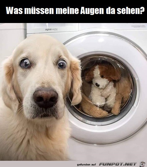 Schreck lass nach Schreck lass nach