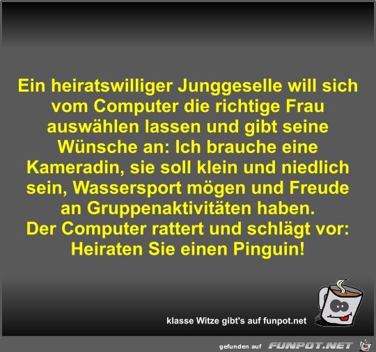 Ein heiratswilliger Junggeselle will sich vom Computer die Ein heiratswilliger Junggeselle will sich vom Computer die