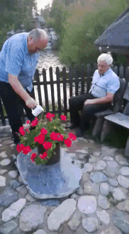 Praktisch Praktisch