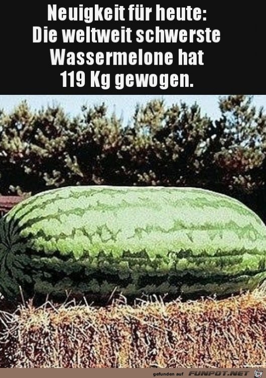 Schwergewicht Schwergewicht