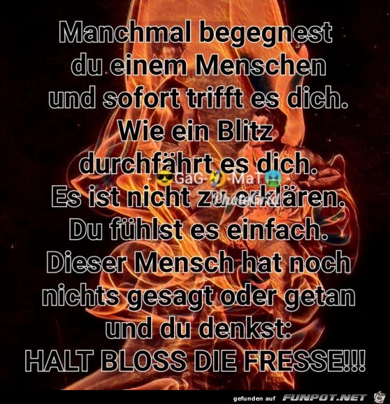 DER eine Mensch DER eine Mensch