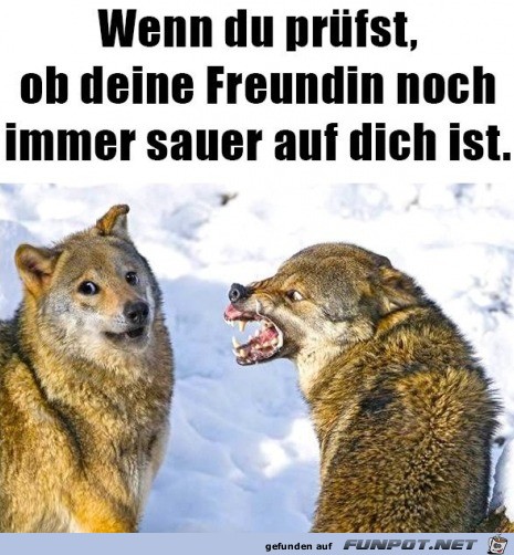 Sie ist noch sauer