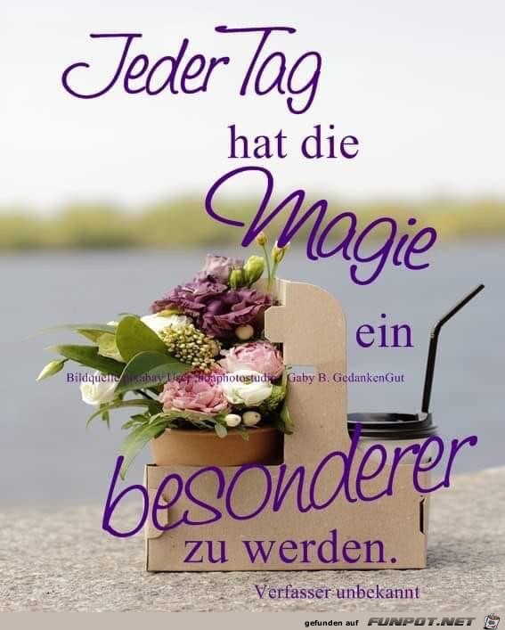 jeder Tag jeder Tag