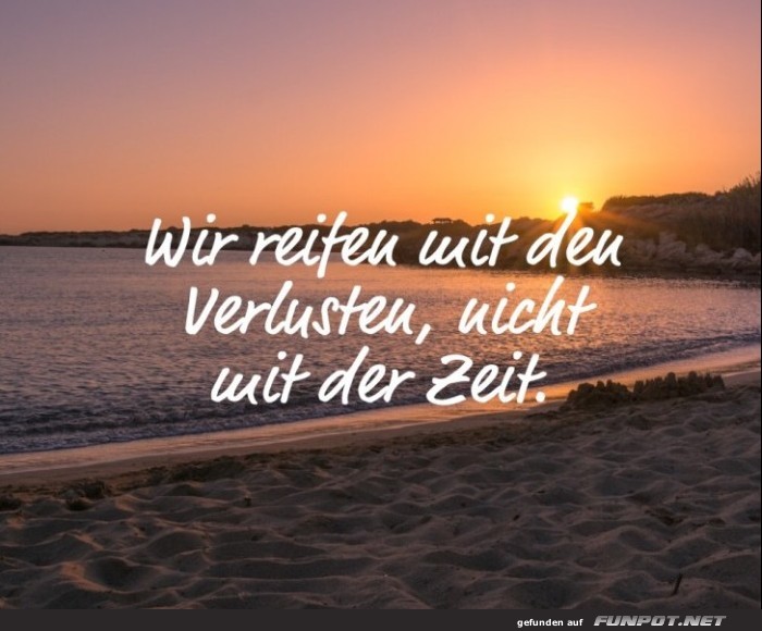 10 sch�ne Spr�che und Lebensweisheiten aus...