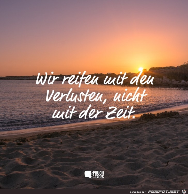 Wir reifen mit den Verlusten Wir reifen mit den Verlusten