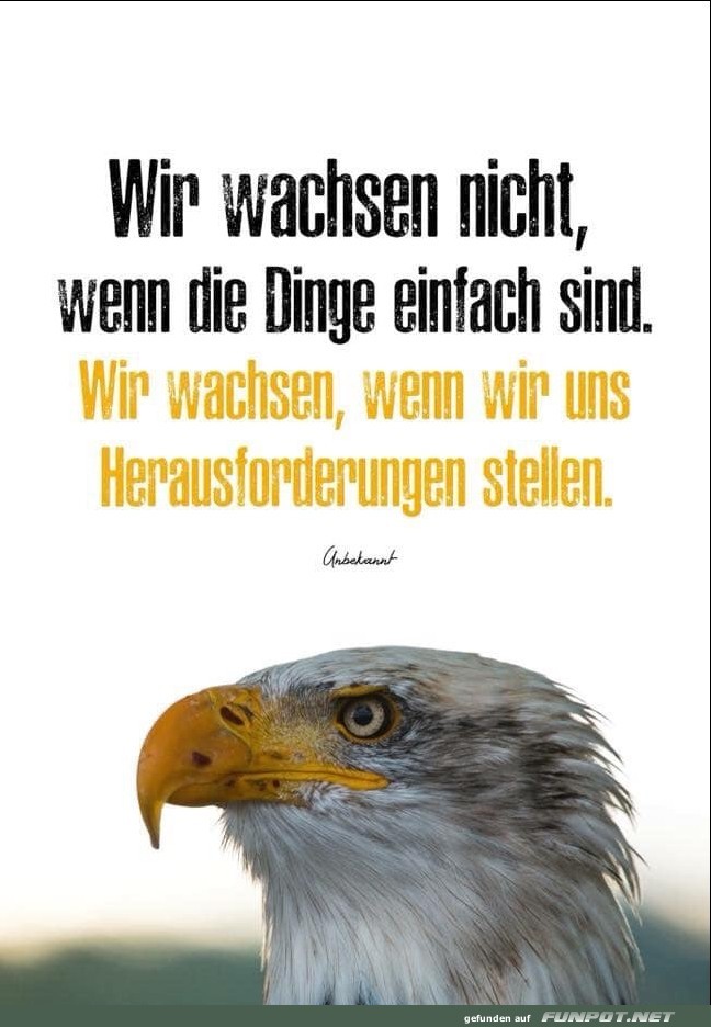 10 sch�ne Spr�che und Lebensweisheiten aus...