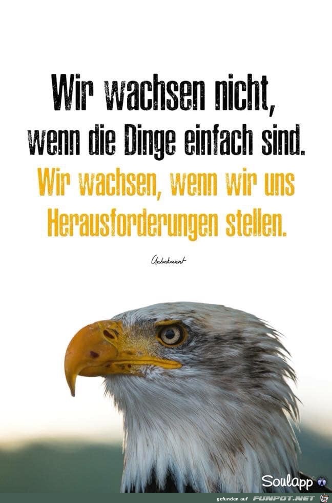 wir wachsen nicht