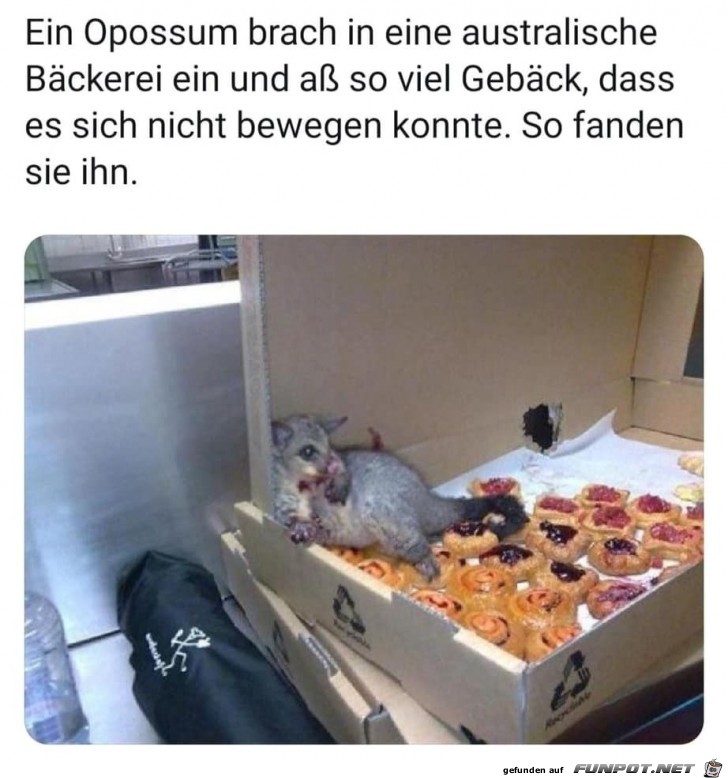 Zu viel gemampft