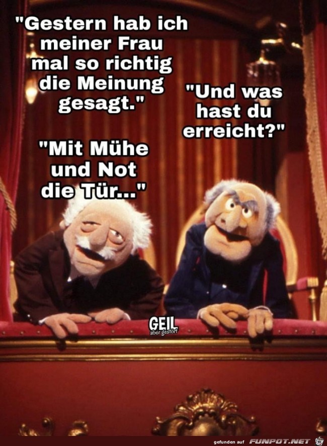 die Meinung die Meinung
