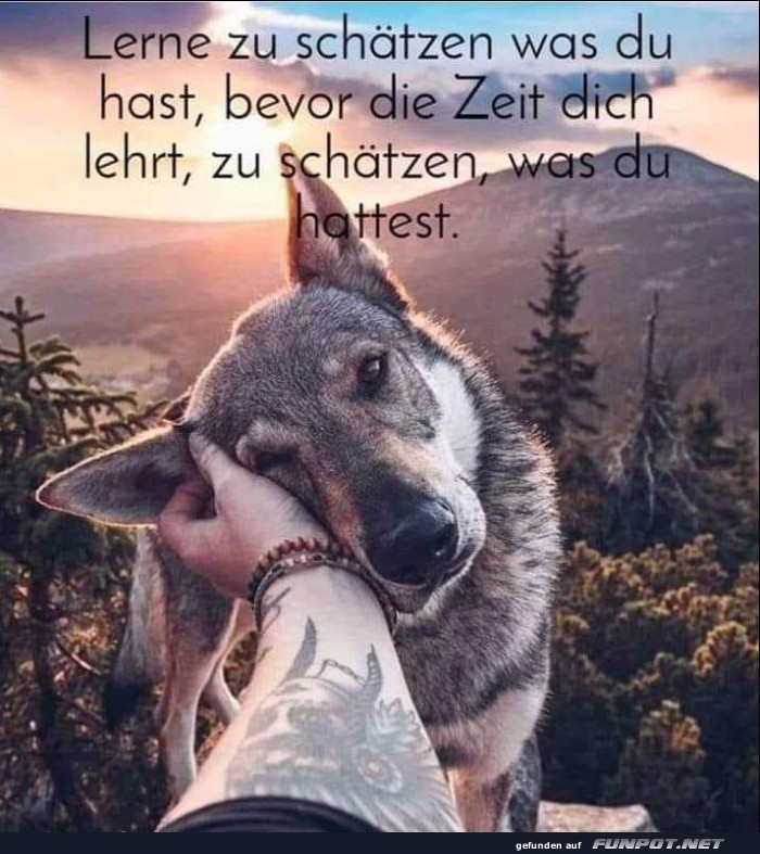 10 sch�ne Spr�che und Lebensweisheiten aus...