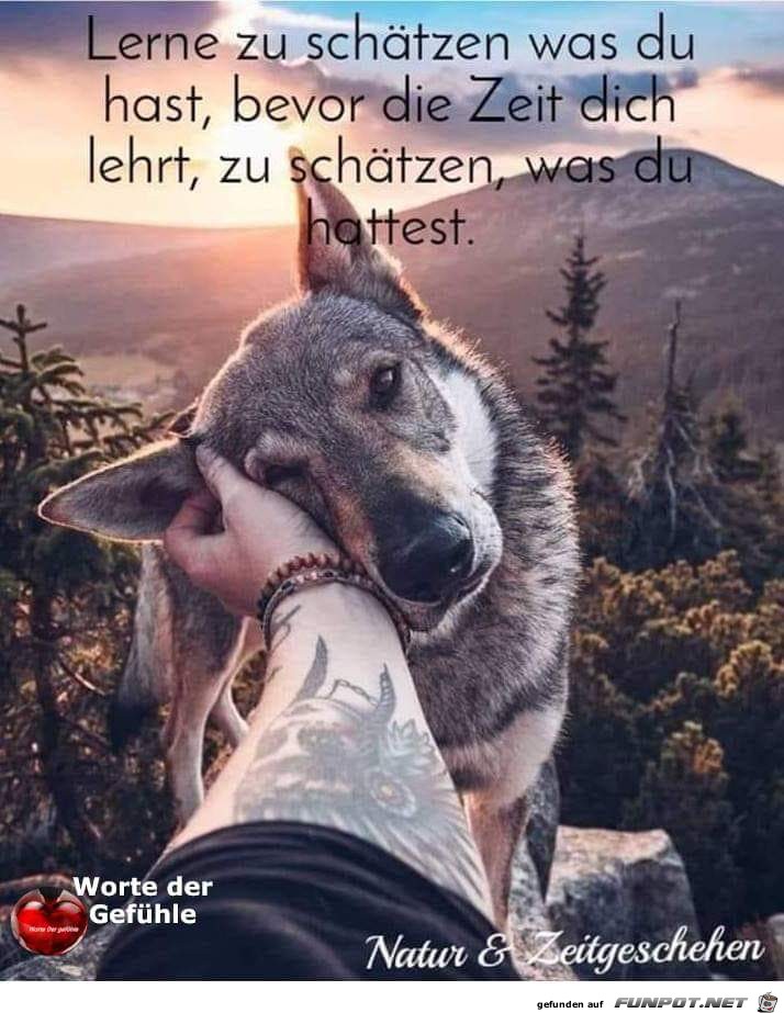 Lernen Lernen