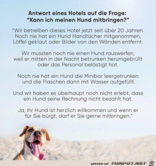 Hotel Hotel