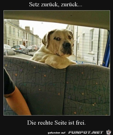 Fahr schon Fahr schon