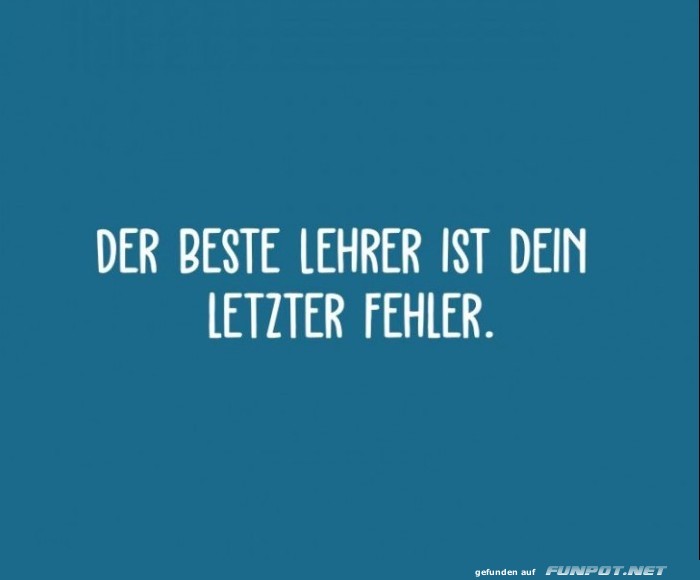 10 sch�ne Spr�che und Lebensweisheiten aus...