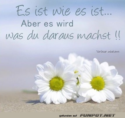 10 sch�ne Spr�che und Lebensweisheiten aus...