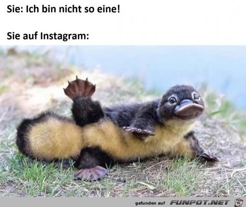 Nicht so eine Nicht so eine