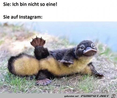 Nicht so eine