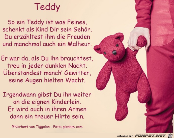 teddy 2019
