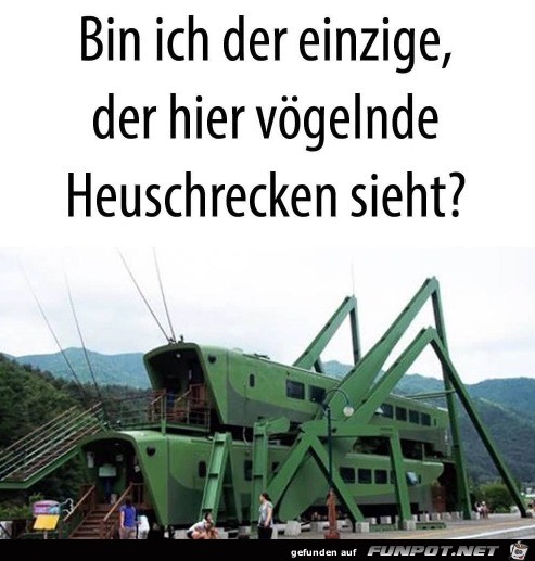 Das sieht echt so aus Das sieht echt so aus