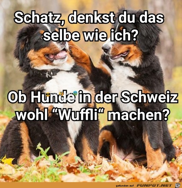 Wuffli